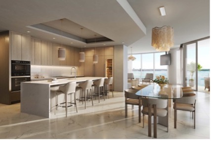 braded-residence-tampa-interior-viceroy-kitchen
